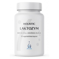 Laktozym - Holistic